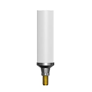 NEO/NICE CoCr Casting Abutment (Hex)