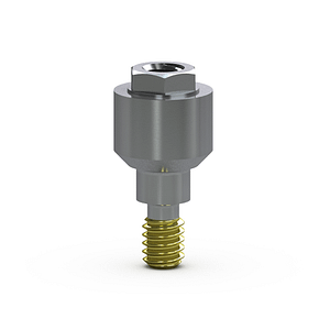 BIOHORIZONS Abutment for Screw (Straight)