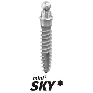 bredent mini1SKY