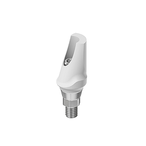 ADIN WP Angled Zirconium Abutment 15° w / Titanium Base