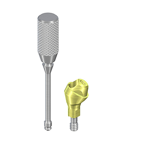 STRAUMANN NC Screw Retained Angled Abutment (30° Angled)