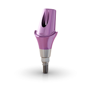 Neodent Anatomic Abutment (Angled)