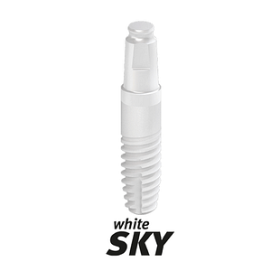 bredent WhiteSKY