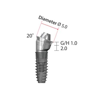 Dentium NRLine Angled Screw Abutment (10°/20°/30° Angled)