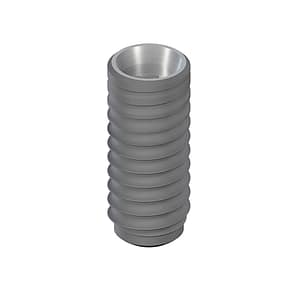 Straumann BL SLActive