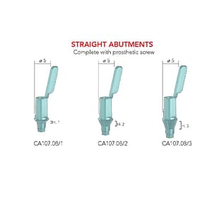 B&B Castable Straight Abutment (PLEXIGLASS)