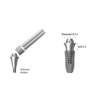 DENTIUM SuperLine Screw Abutment (Straight)