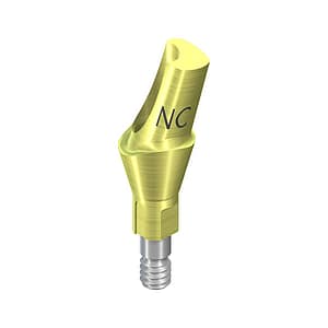STRAUMANN NC Anatomic Angled Abutment (15° Angled)