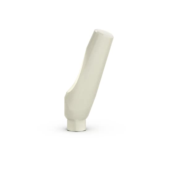 BIOHORIZONS Plastic Temporary Abutment