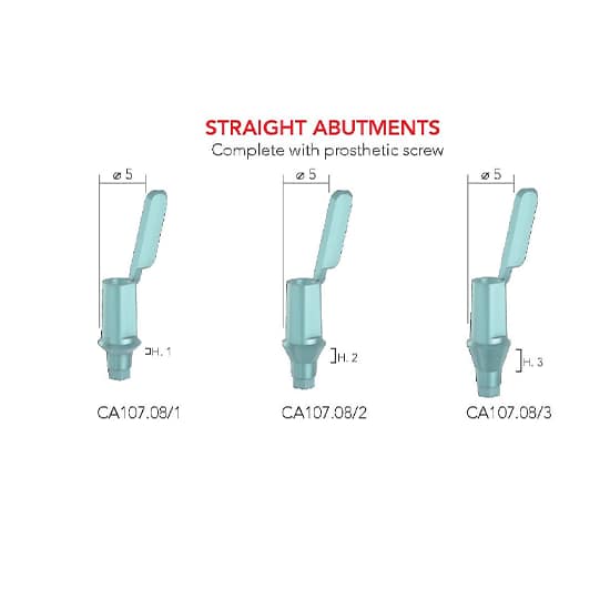 B&B Castable Straight Abutment (PLEXIGLASS)