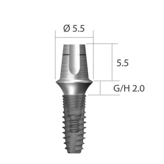 DENTIUM NRLine Dual Abutment (Square)