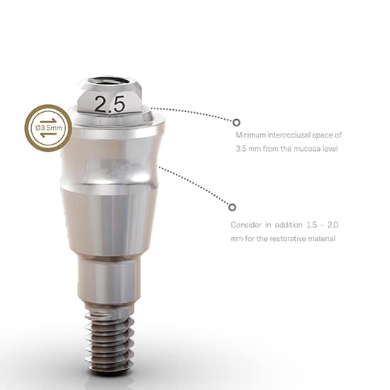 Neodent Micro Abutment
