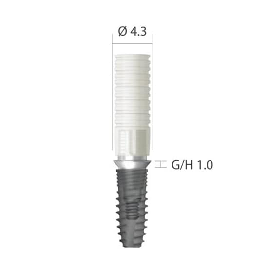 DENTIUM NRLine Metal Casting Abutment (SQUARE/ROUND)
