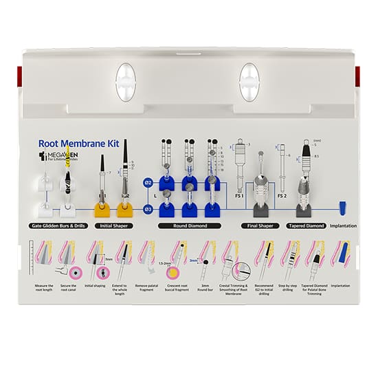 MegaGen Root Membrane Kit
